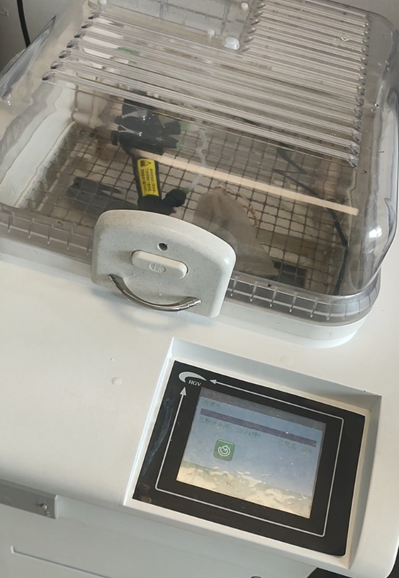 鼴鼠醫(yī)療和您聊聊：可視喉鏡與電子支氣管鏡維護(hù)保養(yǎng)