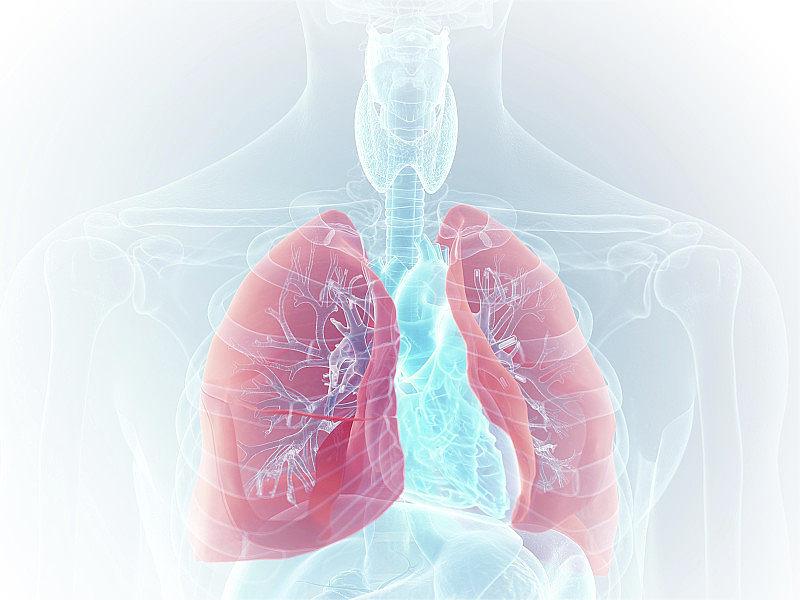 電子支氣管鏡：未來(lái)呼吸系統(tǒng)疾病的診斷與治療利器