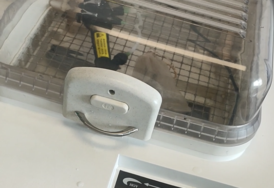 可視喉鏡廠家：氣管插管用可視喉鏡該如何清洗消毒？