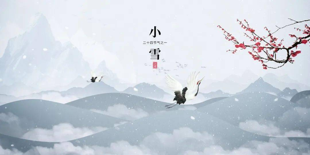 小雪節(jié)氣與可視喉鏡:冬日里的溫暖守護(hù) 小雪節(jié)氣與可視喉鏡:冬日里的溫暖守護(hù)